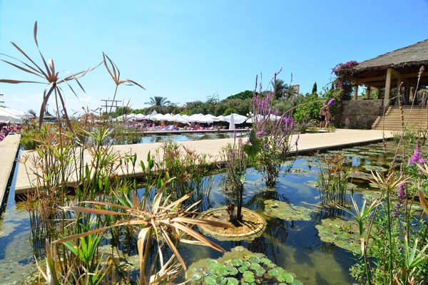 Sunday At Edde Sands